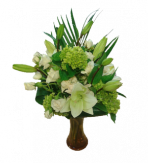 Green & White Delight