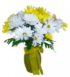 Pick A Daisy
