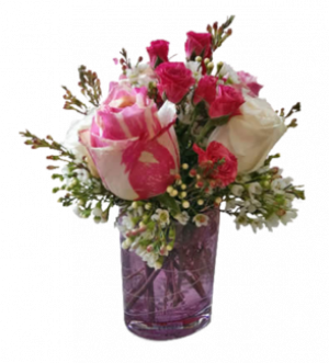 Pink Delight