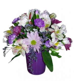 Purple Pleasures