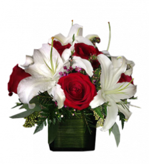 Red & White Delight
