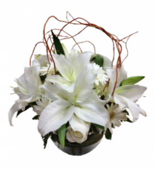 Sheltered Whites