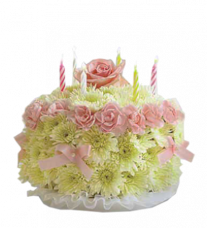 Special Birthday