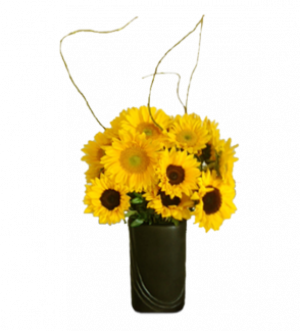 Sunflower Bright