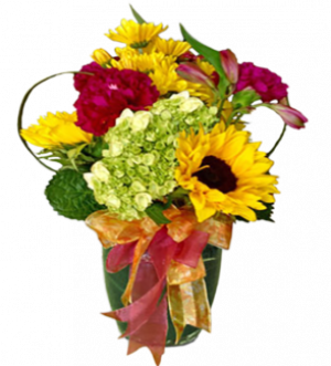 Sunshine & Flowers